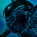 S.H.MonsterArts Alien Warrior" Stop Motion PV distribution!