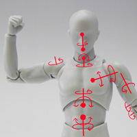 Special site [SHFiguarts staff blog] Released today! Thorough dissection of Body-kun & Body-chan! !!