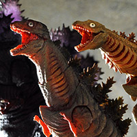 Order cut off 2/20! Tamashii web shop"S.H.MonsterArts Godzilla (2016) second form & third form set" review